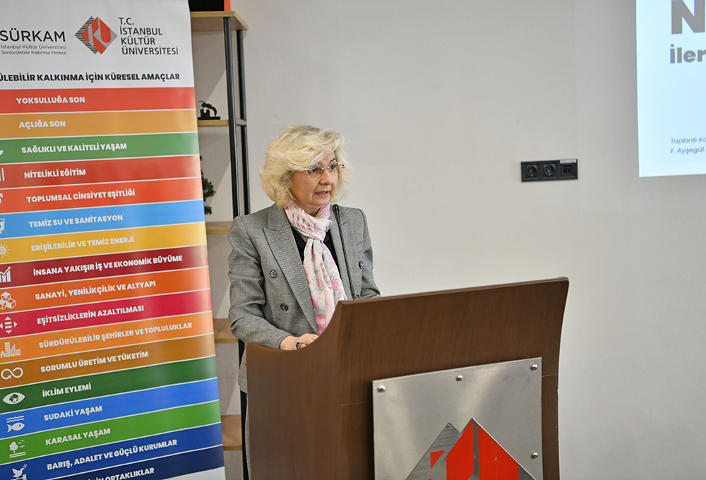 “Küresel Bir Çıkmaz: Toplumsal Cinsiyet Eşitliğinde Neden İlerleyemiyoruz?”