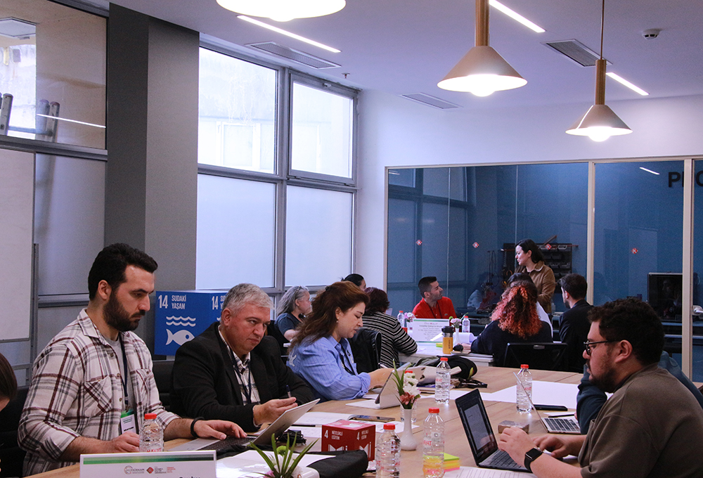 "Sürdürülebilir Kalkınma Yol Haritası Çalıştayı"