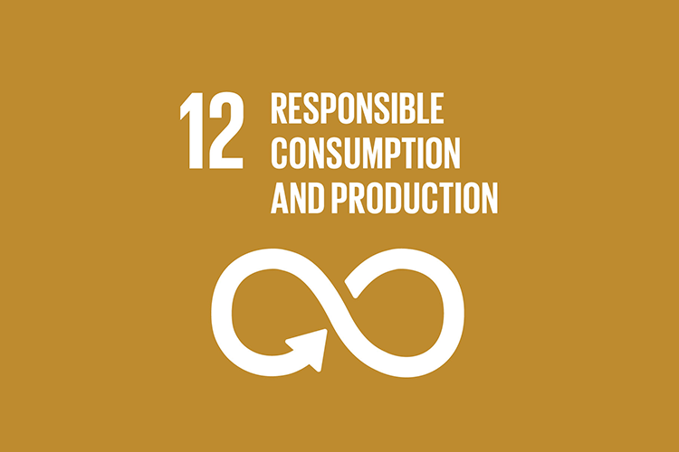 12 - RESPONSIBLE CONSUMPTION & PRODUCTION