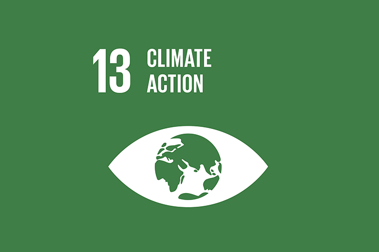 13 - CLIMATE ACTION