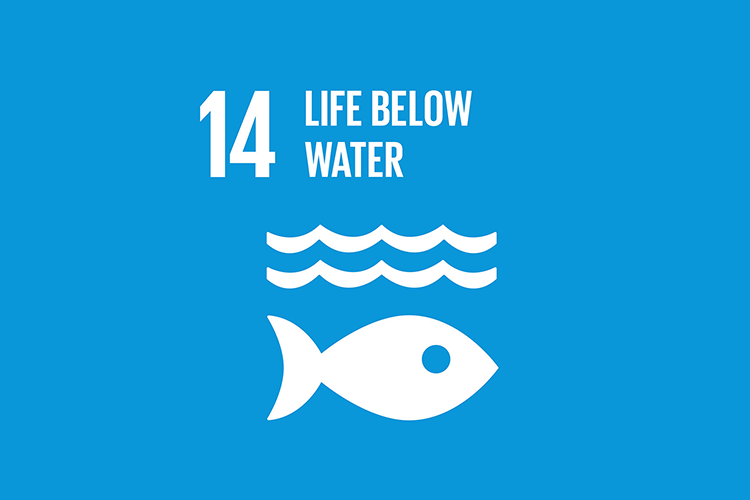 14 - LIFE BELOW WATER