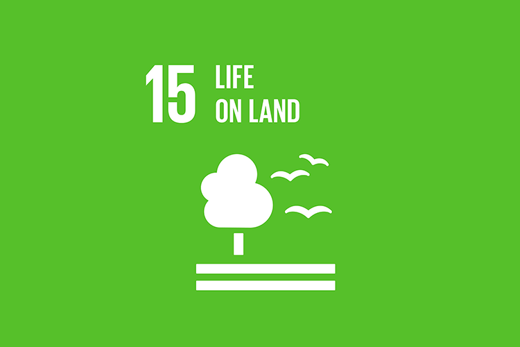 15 - LIFE ON LAND