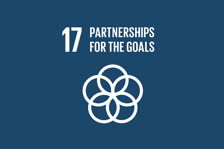 17 - PARTNERSHIPS FOR THE GOALS