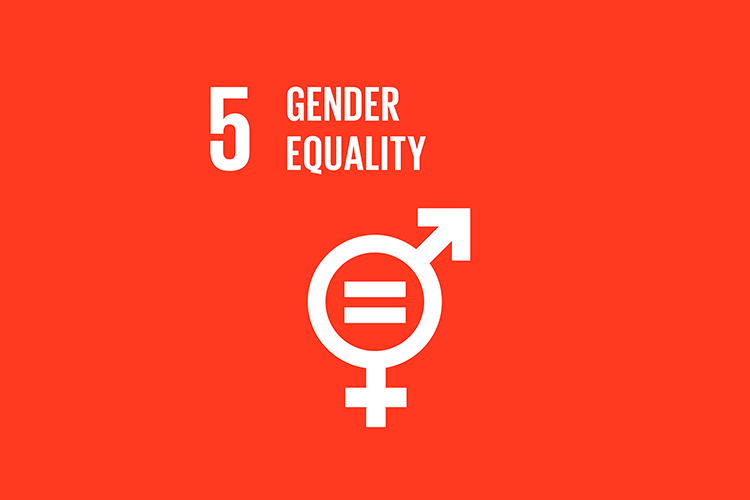 5 - GENDER EQUALITY