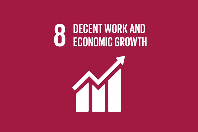 8 - DECENT WORK & ECONOMIC GROWTH