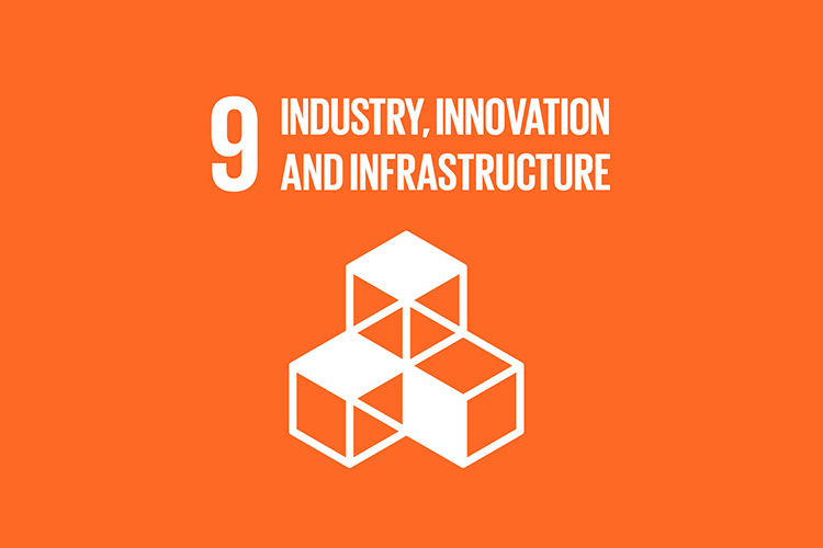 9 - INDUSTRY, INNOVATION & INFRASTRUCTURE