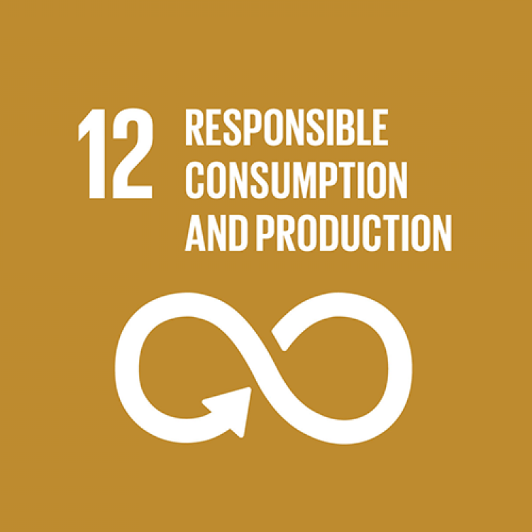 12 - RESPONSIBLE CONSUMPTION & PRODUCTION
