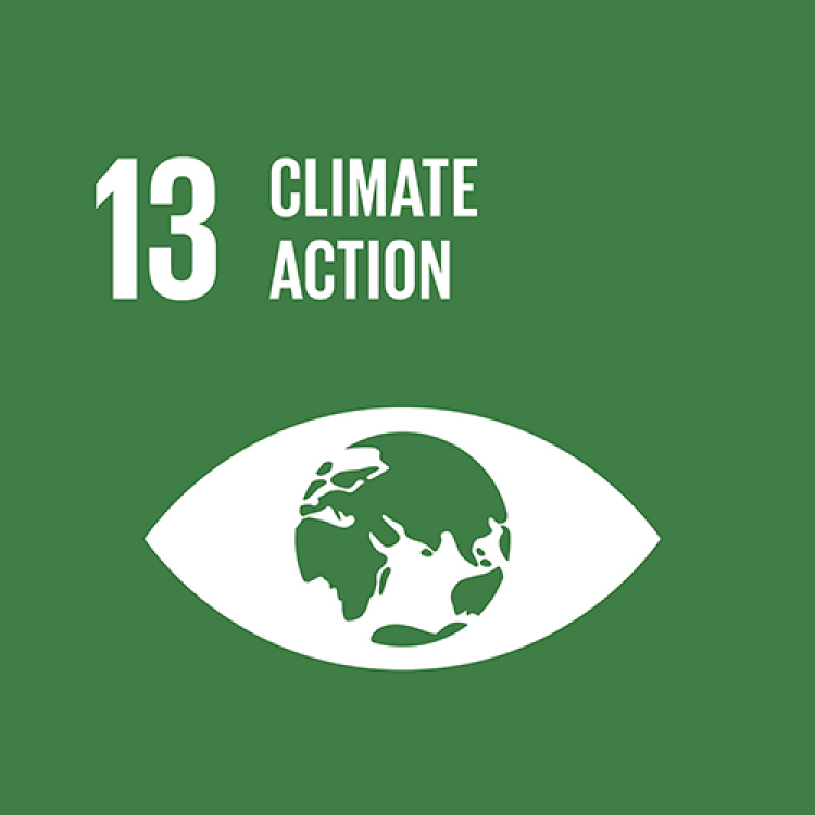 13 - CLIMATE ACTION