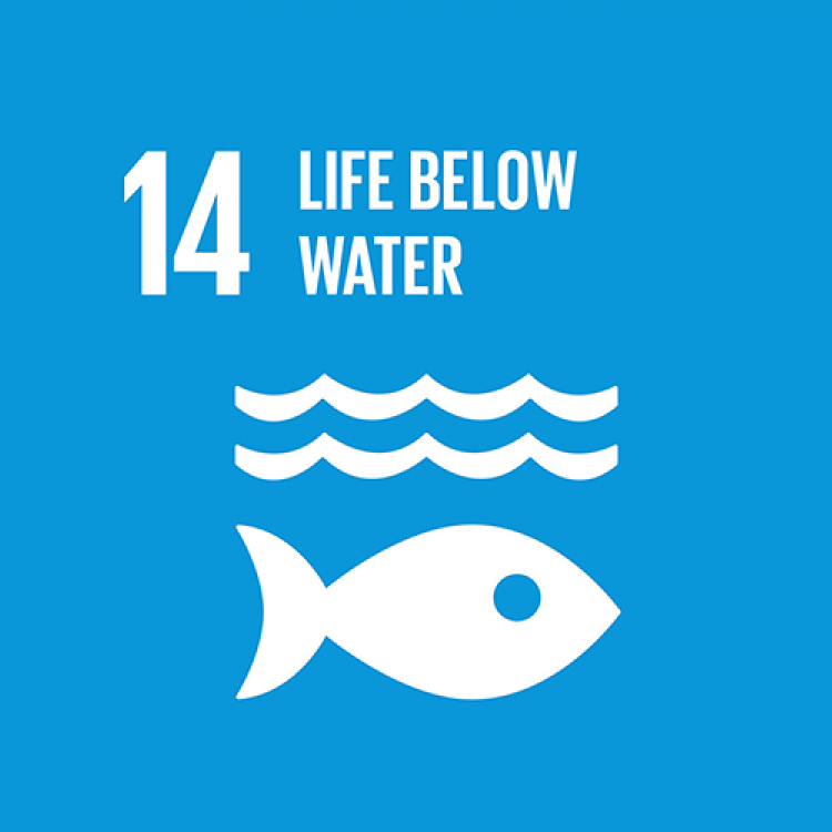 14 - LIFE BELOW WATER