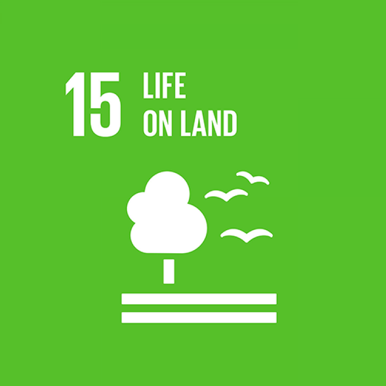 15 - LIFE ON LAND