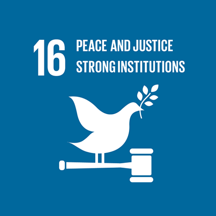 16 - PEACE, JUSTICE AND STRONG INSTITUTIONS