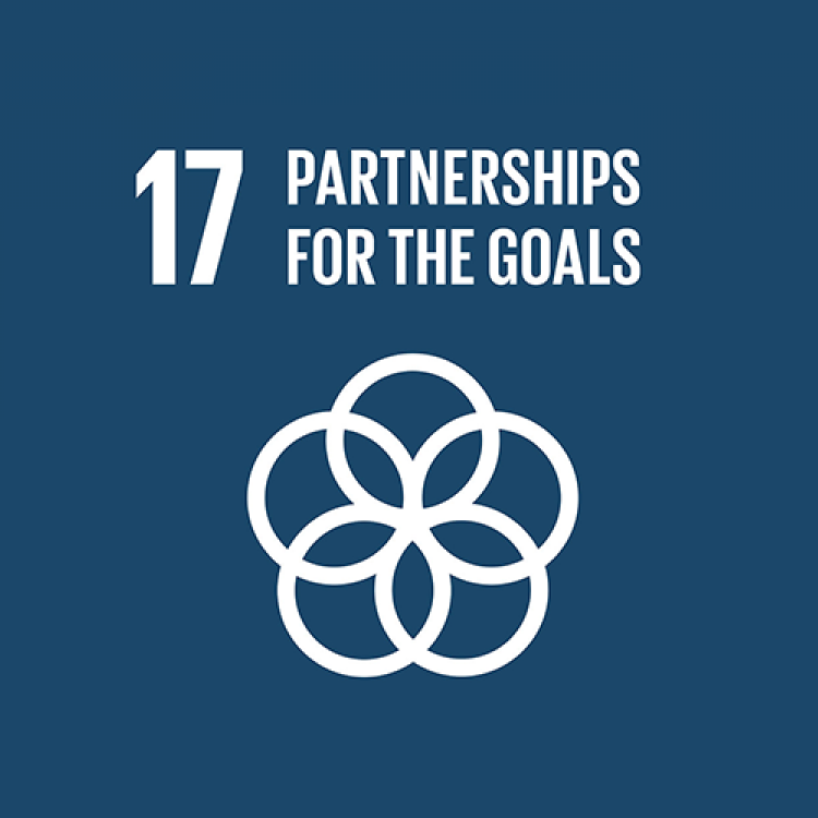 17 - PARTNERSHIPS FOR THE GOALS
