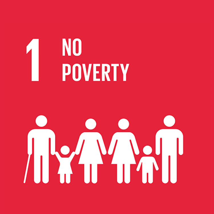 1 - NO POVERTY
