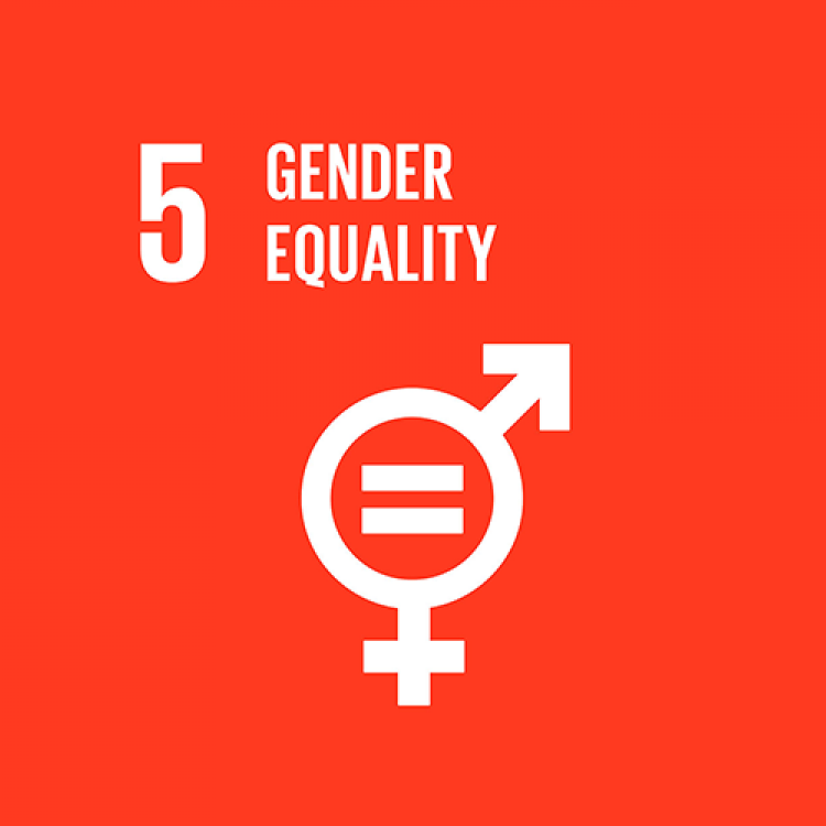 5 - GENDER EQUALITY