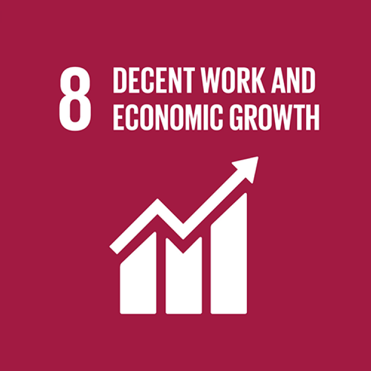 8 - DECENT WORK & ECONOMIC GROWTH