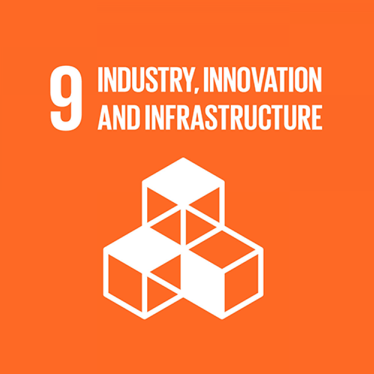 9 - INDUSTRY, INNOVATION & INFRASTRUCTURE
